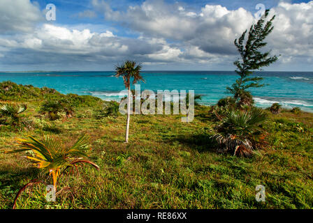 Cat Island, Bahamas. Plage de l'Est (Région Atlantique) Pine Bay, Cat Island. Banque D'Images