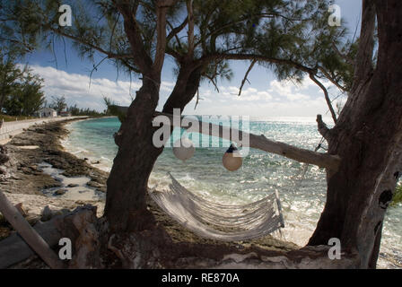 Des hamacs sur la plage à côté de Seaside restaurant bar et cocktails dans Arthur's Town, Cat Island, Bahamas Banque D'Images