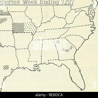 . Rapport d'insectes économique coopérative. Les insectes bénéfiques ; insectes nuisibles. fcii^ J-'-''-'-. - 753 - la luzerne tachetée comme en fait de pucerons Semaine se terminant le 27/07 "&gt ; (••••••• J ' : : :'. Les infestations plus $$$$ des populations de pucerons de luzerne tachetée - Utah - fondés en partie supplémentaire de la région sud-ouest. (Knowlton). ARIZONA -endommager plusieurs champs de luzerne dans la région de Maricopa, Pinal, Pima, Cochise et Graham comtés, en particulier l'eau et champs. De graves dommages un champ de semences Kansas Settlement, Comté de Cochise. (Arizona) Coop. Rept.). Nouveau Mexique - Populations fluctuante. Augmentation soudaine de noter deux Banque D'Images