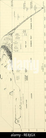 . La terre sous la mer : l'histoire. Fond de l'océan ; géophysique marine. &Gt ; U 03 T3 Â® 'si o eg o o o d o n o 05 .Un CO T5 03 05 03 o -* â S &gt ;. ^ Â"Â© 2 O C3 O fe Â Â ¢ â® C¢R CO -P 05 X "^ ^^ c&Lt ; .2 '^^ »-  ci O u i33J 'caché3a 0503 o ^^ ^ O eS bb. Veuillez noter que ces images sont extraites de la page numérisée des images qui peuvent avoir été retouchées numériquement pour plus de lisibilité - coloration et l'aspect de ces illustrations ne peut pas parfaitement ressembler à l'œuvre originale.. Hill, M. N. (Maurice Neville), 1919-. New York : Interscience Pub. Banque D'Images