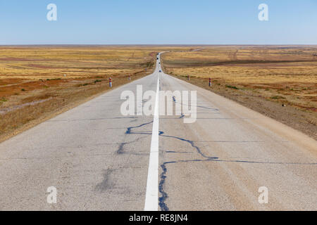 Route asphaltée dans la steppe de Mongolie, Mongolie Banque D'Images