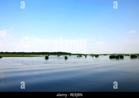 La photo montre le paysage de la grande rivière de la Volga en Russie, et les îles de carex sur la belle surface de l'eau. Photo horizontale Banque D'Images