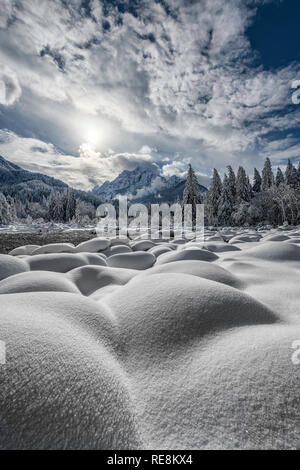 Zelenci Le printemps en hiver, Slovénie Banque D'Images
