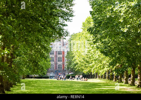 Londres, Royaume-Uni - 21 juin 2018 : Soleil alley chemin de pelouse dans Green Park à Westminster vue Paysage en été avec de nombreuses personnes sur l'aire de pique-nique et historique bu Banque D'Images