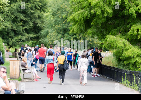 Londres, Royaume-Uni - 21 juin 2018 : St James Park arbres verts sous le soleil de l'été avec beaucoup de foule de personnes marchant sur le trottoir Banque D'Images