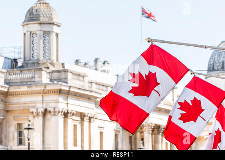 London, UK Haut-commissariat du Canada avec libre de rangée de drapeaux canadiens rouge sur la rue Cockspur à Westminster Banque D'Images