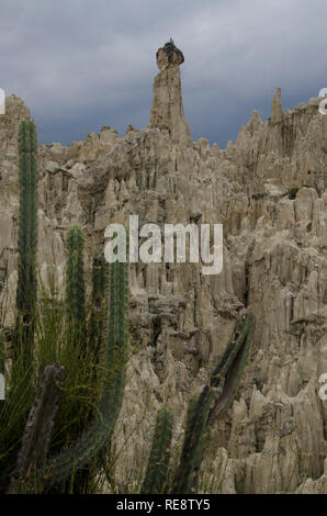 Formations rocheuses de stalagmite dans la Valle de la luna (vallée de la lune), la Paz, Bolivie Banque D'Images