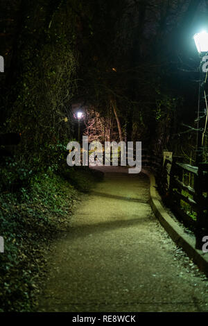 Chemin Creepy à travers les bois dans la nuit Banque D'Images
