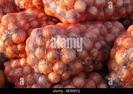 Bulbes, emballés dans de grands filets, allongé sur le marché et illuminé par le soleil. Au sud de l'Ukraine Banque D'Images