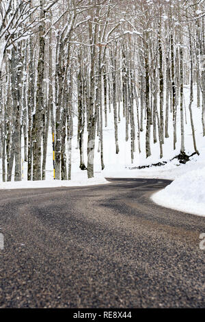 Vue d'une route qui passe au milieu d'une forêt de pins. Saison d'hiver en Italie. Parc National des Abruzzes, Latium et Molise. Banque D'Images