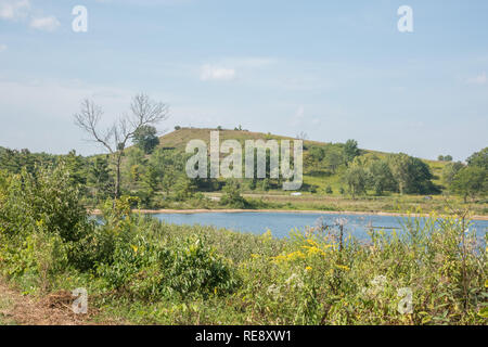 Colline, un écrin de verdure et vue sur l'étang à McDowell Grove Forest Preserve à Naperville, Illinois Banque D'Images