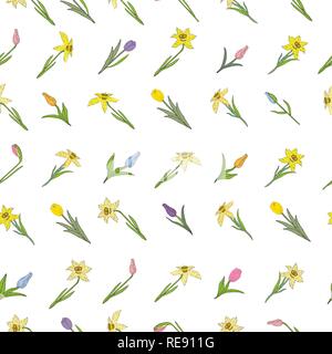 Modèle transparent avec des fleurs de printemps. Les tulipes et les jonquilles. Différents éléments isolé sur un fond blanc. Dessin vectoriel illustra Illustration de Vecteur