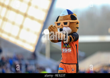 20 janvier 2019, l'Émeraude du stade Headingley, Leeds, Angleterre ; Betfred Super League réchauffer , Leeds Rhinos vs Castleford Tigers ; Castleford Tigers Mascot Crédit : Mark Cosgrove/News Images Banque D'Images