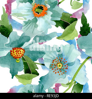 Calathea. Contexte aquarelle illustration set. Motif de fond transparent. Banque D'Images