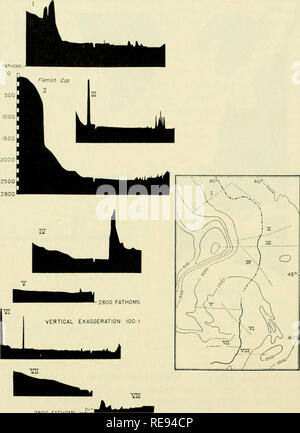 . La terre sous la mer : l'histoire. Fond de l'océan ; géophysique marine. 340 HKEZEN liAUGHTON ET [chap. 14 1000 2800 brasses. 2800 brasses 100 200 300 milles marins à l'AQO 500 600 Fig. 21. Huit profils est-ouest à travers l'Atlantique Nord-Ouest, Mifl-Oeean Canyon. (Après Heezen et al., 1959.) lieux dépasse le gradient du canyon. La pente ouest à l'Est est d'environ 1 : 1500 tandis que le gradient de la cany6n du nord au sud est d'environ 1 : 2250. Le canyon et ses méandres doux formes, comme ses baisses de gradient, il change sa forme transversale à partir d'un profond canyon étroit à un large superficiel. Banque D'Images