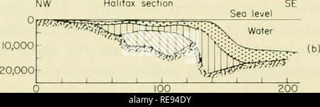 . La terre sous la mer : l'histoire. Fond de l'océan ; géophysique marine. 294 GUILCHER [chap. 13 Peterson, 1950). Dans les sections parallèles à la côte, la profondeur du sous-sol n'est pas normal : il diminue fortement de la "crête de Caroline" (au sud de la Caroline du Nord), et augmente de nouveau plus au sud ; cependant, l'épaississement de la mer Strata est une caractéristique générale de la plaine côtière. Dans le su])nierged ])art, la structure est la même, depuis l'Éocène, du Crétacé et du Pliocène miocène, ^ont été trouvés dans les canyons d'empiéter sur le bord du plateau dans la région du banc de Georges (Stetson, 1949). Banque D'Images