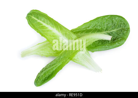 Laitue romaine cos frais isolé sur un fond blanc. Vue d'en haut. Mise à plat Banque D'Images