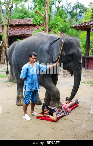 Phuket, Thaïlande - le 13 juin 2013 : formation de l'éléphant. La performance de cirque en Thaïlande avec un éléphant dans la rue. Banque D'Images