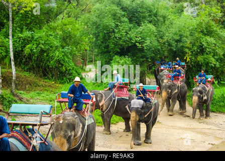 Phuket, Thaïlande - le 13 juin 2013 : formation de l'éléphant. La performance de cirque en Thaïlande avec un éléphant dans la rue. Banque D'Images