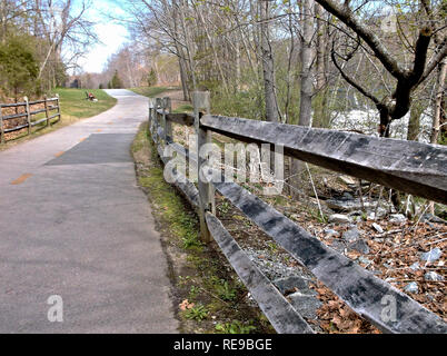 Trois clôture en bordure d'une piste cyclable dans un parc de disparaître dans l'arrière-plan Banque D'Images