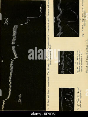 . Contributions à l'étude de la liaison entre la constitution chimique et l'action physiologique. Biochimie ; la physiologie. 614 DRS. T. L. Brunton et J. T. DE L'ARGENT SUR LA CONNEXION. Veuillez noter que ces images sont extraites de la page numérisée des images qui peuvent avoir été retouchées numériquement pour plus de lisibilité - coloration et l'aspect de ces illustrations ne peut pas parfaitement ressembler à l'œuvre originale.. Brunton, T. Lauder (Thomas Lauder), Sir, 1844-1916, argent comptant, Laurent, 1854-. [S. l.  : S. n. ] Banque D'Images