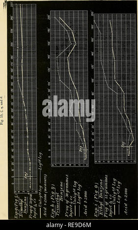 . Contributions à l'étude de la liaison entre la constitution chimique et l'action physiologique. Biochimie ; la physiologie. 590 DBS. BBUNTON T. L. et J. T. DE L'ARGENT SUR LA CONNEXION. Veuillez noter que ces images sont extraites de la page numérisée des images qui peuvent avoir été retouchées numériquement pour plus de lisibilité - coloration et l'aspect de ces illustrations ne peut pas parfaitement ressembler à l'œuvre originale.. Brunton, T. Lauder (Thomas Lauder), Sir, 1844-1916, argent comptant, Laurent, 1854-. [S. l.  : S. n. ] Banque D'Images
