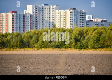 Vue sur un champ récolté à la ville satellite Gropiusstadt à Berlin-Neukölln illuminée par le soleil. Banque D'Images