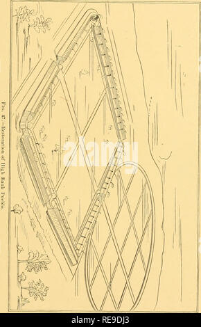 . Contributions à l'ethnologie de l'Amérique du Nord. Tome I-VII, IX. Indiens d'Amérique du Nord ; de l'Ethnologie. . Veuillez noter que ces images sont extraites de la page numérisée des images qui peuvent avoir été retouchées numériquement pour plus de lisibilité - coloration et l'aspect de ces illustrations ne peut pas parfaitement ressembler à l'œuvre originale.. Powell, John Wesley, 1834-1902 ; répartition géographique et géologique de la région des Rocheuses (U. S. ), Smithsonian Institution. Bureau of American Ethnology. Washington : Govt. L'impression. L'arrêt. Banque D'Images