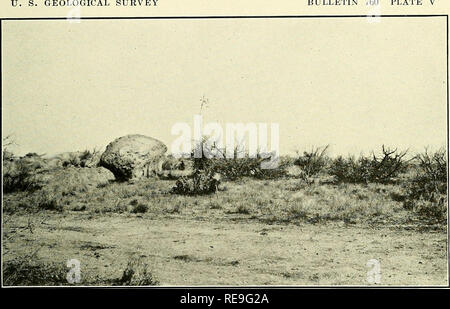 . Contribution à la géographie de l'United States, 1923-1924. La géologie, des Mines et des ressources minérales. BULLETIN DE LA COMMISSION GÉOLOGIQUE DE LA PLAQUE 760 C. A. (JRANITK PEDKSIAL ROCK DE. Deux milles au nord-ouest de Oracle, Arizona) Note de la végétation catclaw, yucca, cactus, petits arbustes, et l'herbe.. Veuillez noter que ces images sont extraites de la page numérisée des images qui peuvent avoir été retouchées numériquement pour plus de lisibilité - coloration et l'aspect de ces illustrations ne peut pas parfaitement ressembler à l'œuvre originale.. Campbell, R. Marius Marius (Robinson), 1858-1940 ; Geological Survey (U. S. ). [Washington D. C. ] : Banque D'Images