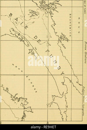 . Contributions à la biologie. La biologie marine ; l'histoire naturelle. . Veuillez noter que ces images sont extraites de la page numérisée des images qui peuvent avoir été retouchées numériquement pour plus de lisibilité - coloration et l'aspect de ces illustrations ne peut pas parfaitement ressembler à l'œuvre originale.. Conseil biologique du Canada ; Canada. Station de biologie marine. Toronto, Conseil biologique du Canada Banque D'Images