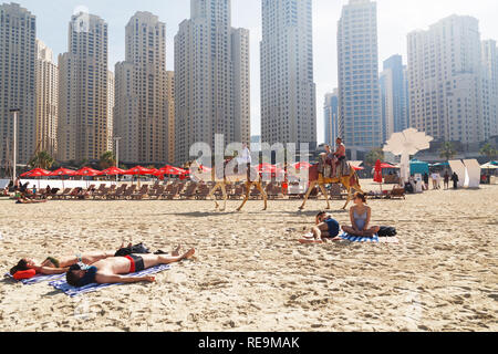 Dubaï, Émirats arabes unis - janvier 07, 2019 : les chameaux et les touristes se trouvant sur les gratte-ciel fond à la plage Banque D'Images