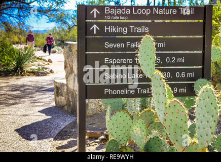 Les gens autour de la figue de Barbarie Cactus sur sentier de randonnée pédestre avec pancarte directionnelle dans le domaine de la zone de loisirs, Sabino Canyon Tucson, AZ Banque D'Images