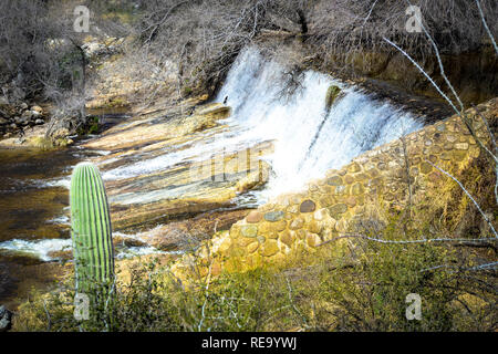 La montagne l'eau de ruissellement s'écoule vers le Canyon Sabino barrage dans le désert couvert de cactus dans le Sabino Canyon Recreation Area près de Tucson, AZ Banque D'Images