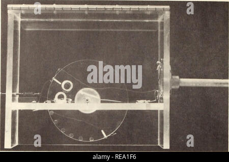 . Construction d'un capteur pour l'enregistrement en continu du changement de taille des plantes sur le terrain. Plan de surveillance de la croissance. Figure 3.-vue d'ensemble contact slidewire montrant du capteur de hauteur à une extrémité de l'slidewire comme l'un des arrêts frappe la tablette. Le phonopickup connexions des câbles à chaque extrémité de l'slidewire sont également indiqués. Le slidewire dur s'étend au-dessus et au-dessous de l'étagère au moyen d'une 1- par 6 1/2 pouces fente taillée dans le plateau (fig. 4). Le bras de contact, monté à l'extrémité de la fente, est fabriqué à partir d'une double épaisseur de 0,005 pouces en laiton d'épaisseur 2,5 cm de large. Contact effectif avec l'slidewire j Banque D'Images