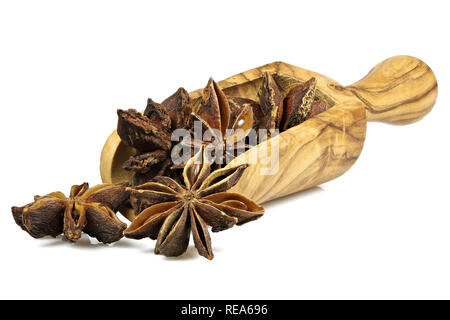 L'anis étoilé dans une boule faite de bois d'olive isolé sur fond blanc Banque D'Images
