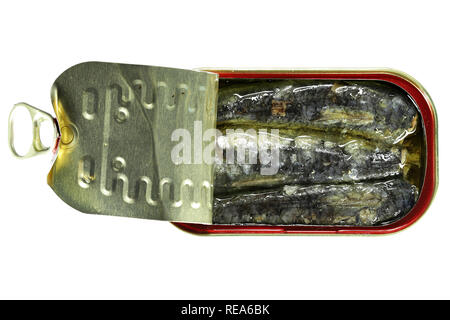 Peut ouvrir des sardines dans l'huile végétale isolé sur fond blanc Banque D'Images