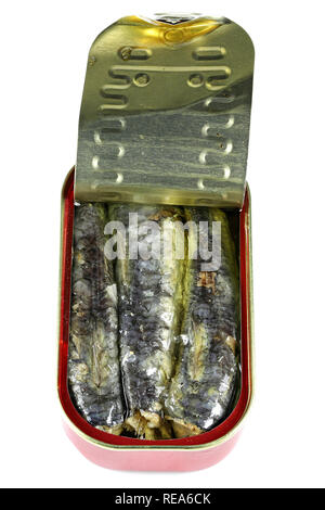 Peut ouvrir des sardines dans l'huile végétale isolé sur fond blanc Banque D'Images