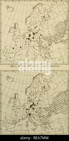 . Le petit élément dans la flore du sud de la Suède. Les plantes. 1922 Gpoorafiska Annaler. La carte 4. Lagurus ovatus L. (pontique - South European distribution).. Veuillez noter que ces images sont extraites de la page numérisée des images qui peuvent avoir été retouchées numériquement pour plus de lisibilité - coloration et l'aspect de ces illustrations ne peut pas parfaitement ressembler à l'œuvre originale.. Sterner, Rikard. Stockholm : Centraltryckeriet Banque D'Images
