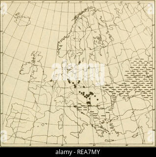 . Le petit élément dans la flore du sud de la Suède. Les plantes. Beo^rafiska Annaler 1922 PI-ATE 13.. Carte 1. RANUNCULUS ILLYRICUS L. (distribution Pontique).. Veuillez noter que ces images sont extraites de la page numérisée des images qui peuvent avoir été retouchées numériquement pour plus de lisibilité - coloration et l'aspect de ces illustrations ne peut pas parfaitement ressembler à l'œuvre originale.. Sterner, Rikard. Stockholm : Centraltryckeriet Banque D'Images