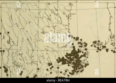 . Le petit élément dans la flore du sud de la Suède. Les plantes. Carte 1. Dans ASPERUI Pennoscandia.UN TINCTORIA. Carte 2. Dans Eennoscandia HELICHRYSUM ARENARIUM.. f. Veuillez noter que ces images sont extraites de la page numérisée des images qui peuvent avoir été retouchées numériquement pour plus de lisibilité - coloration et l'aspect de ces illustrations ne peut pas parfaitement ressembler à l'œuvre originale.. Sterner, Rikard. Stockholm : Centraltryckeriet Banque D'Images