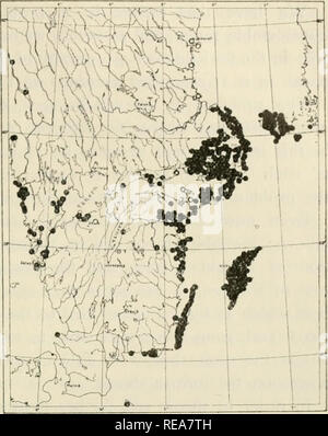 . Le petit élément dans la flore du sud de la Suède. Les plantes. La flore du sud de la Suède continentale 357. j>epilitorah - a une distribution sur la côte est de la Suède. Il a également un certain nombre de bateaux de se produire- rences - parfois plutôt isolés - qui sont, il est vrai, situé à proximité de la côte de façon équitable et sur les niveaux un peu moins élevés que ceux de Cynanchum, mais peut néanmoins donner raison de l'association de l'espèce à partir de notre point de vue actuel (cf. Sernander 1920 a). L'espèce Mclica xérothermique ciliata (planche 8) et Draba niuialis (planche 8) - ce dernier étant m Banque D'Images
