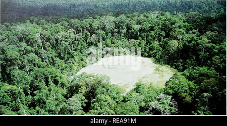 . L'Atlas de conservation des forêts tropicales : l'Asie et le Pacifique. Sabah et Sarawak (Malaisie orientale). J'AHM W'lldlijc réserver dans Sabah comprend un volcan de boue, ivhicli est exposée dans nch en sels minéraux qui attirent de grands mammifères. WWFS. Yarath Sarawak a une faible densité de population, mais la terre n'est pas à l'abri de la pression humaine. En fait, 80  % des terres est incapable de supporter toute la récolte agricole commerciale, alors que pourtant plus est d'une nature très marginal. Des 80  % de terres, 12  % est de marais et le reste est montagneux avec des sols stériles. La plupart d'e Banque D'Images