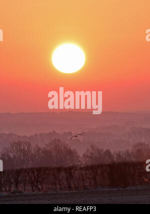 Kings Lynn, Norfolk, Royaume-Uni. Le 20 janvier, 2019. Un beau lever de soleil sur la campagne après un démarrage à froid glacial le matin à près de Kings Lynn, Norfolk, le 20 janvier 2019. Crédit : Paul Marriott/Alamy Live News Banque D'Images