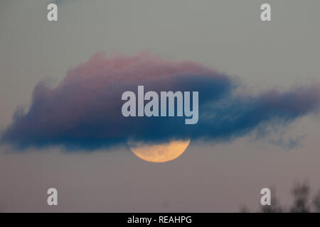 New Jersey, USA. 20 Jan, 2019. Une super lune est illustrée de Washington Rock State Park dans le comté de Somerset, New Jersey, aux États-Unis, le 20 janvier 2019. Credit : Muzi Li/Xinhua/Alamy Live News Banque D'Images