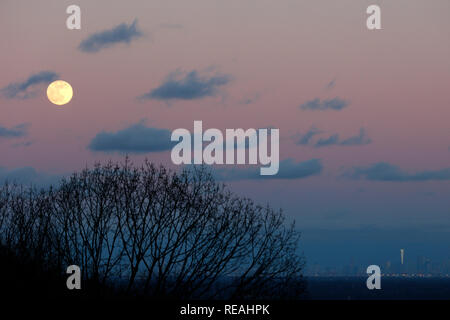 New Jersey, USA. 20 Jan, 2019. Une super lune est illustrée de Washington Rock State Park dans le comté de Somerset, New Jersey, aux États-Unis, le 20 janvier 2019. Credit : Muzi Li/Xinhua/Alamy Live News Banque D'Images