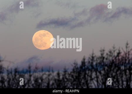 New Jersey, USA. 20 Jan, 2019. Une super lune est illustrée de Washington Rock State Park dans le comté de Somerset, New Jersey, aux États-Unis, le 20 janvier 2019. Credit : Muzi Li/Xinhua/Alamy Live News Banque D'Images