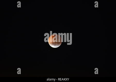 Buenos Aires, Argentine. 21 janv. 2019. Début de l'éclipse totale. La surface de la Lune est entièrement dans l'Umbra. Buenos Aires, Argentine. Crédit : Christian Peters/Alamy Live News. Banque D'Images
