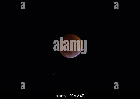 Asuncion, Paraguay. 21 janvier 2019. Une vue du super loup de sang Lune pendant l'éclipse lunaire totale dans la nuit noire, Asuncion, Paraguay. Crédit : Andre M. Chang/Alamy Live News Banque D'Images