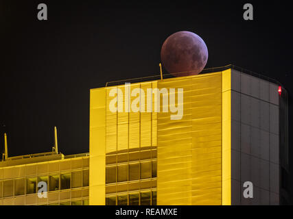 21 janvier 2019, Hessen, Frankfurt/Main : Comme un rouge, soi-disant 'blood moon' la pleine lune se tient sur le siège de Commerbank lumineux jaune, bien qu'il pas dans l'ombre de la terre. L'ombre de la core couvre la surface visible de la lune. La lune, le soleil et la terre sont en ligne. Photo : Frank Rumpenhorst/dpa dpa : Crédit photo alliance/Alamy Live News Banque D'Images