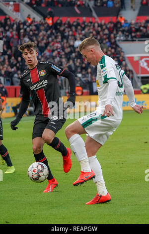 19.01.2019, BayArena, Leverkusen, Allemagne, 1. FBL, Bayer 04 Leverkusen vs. Borussia Mönchengladbach, DFL règlement interdit toute utilisation de photographies comme photo de séquences et/ou quasi-vidéo dans l'image/photo montre : Kai Havertz (Leverkusen n° 29), des duels contre Ã1968 (Elvedi Gladbach n° 30), photo © nordphoto/Meuter | conditions dans le monde entier Banque D'Images